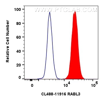 Flow cytometry (FC) experiment of HEK-293 cells using CoraLite® Plus 488-conjugated RABL3 Polyclonal ant (CL488-11916)