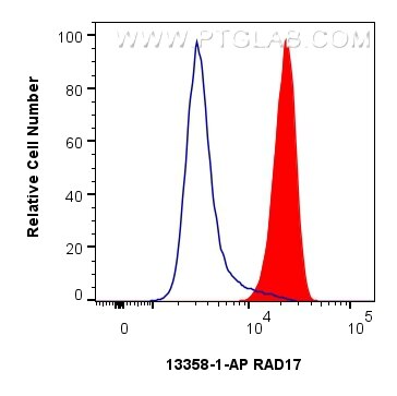 Flow cytometry (FC) experiment of A431 cells using RAD17 Polyclonal antibody (13358-1-AP)