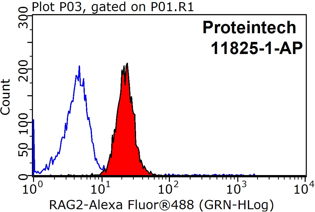 Flow cytometry (FC) experiment of HeLa cells using RAG2 Polyclonal antibody (11825-1-AP)