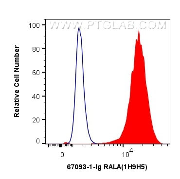 Flow cytometry (FC) experiment of MCF-7 cells using RALA Monoclonal antibody (67093-1-Ig)
