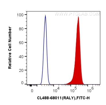 Flow cytometry (FC) experiment of A431 cells using CoraLite® Plus 488-conjugated RALY Monoclonal anti (CL488-68011)