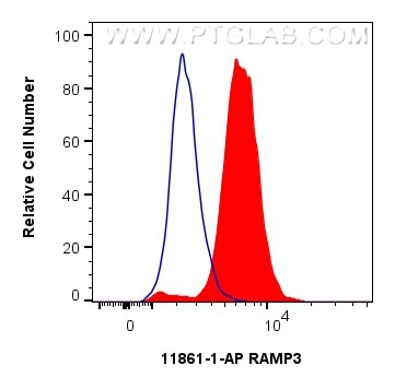 Flow cytometry (FC) experiment of Jurkat cells using RAMP3 Polyclonal antibody (11861-1-AP)