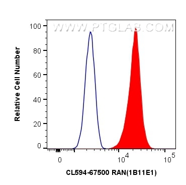 Flow cytometry (FC) experiment of HeLa cells using CoraLite®594-conjugated RAN Monoclonal antibody (CL594-67500)