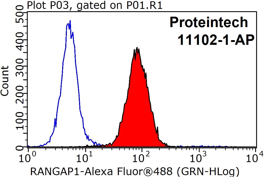 Flow cytometry (FC) experiment of HepG2 cells using RANGAP1 Polyclonal antibody (11102-1-AP)