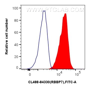 Flow cytometry (FC) experiment of HeLa cells using CoraLite® Plus 488-conjugated RBBP7 Recombinant an (CL488-84330)