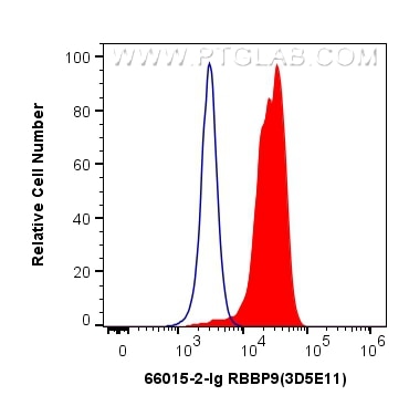 Flow cytometry (FC) experiment of HeLa cells using RBBP9 Monoclonal antibody (66015-2-Ig)