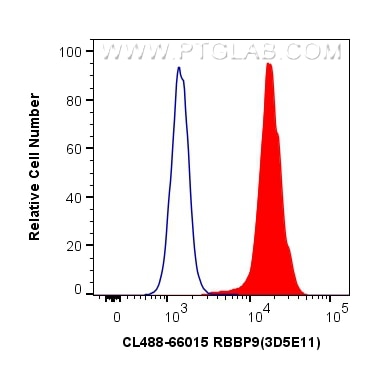 Flow cytometry (FC) experiment of HeLa cells using CoraLite® Plus 488-conjugated RBBP9 Monoclonal ant (CL488-66015)