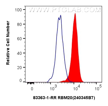Flow cytometry (FC) experiment of K-562 cells using RBM20 Recombinant antibody (83363-1-RR)