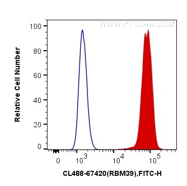 Flow cytometry (FC) experiment of HepG2 cells using CoraLite® Plus 488-conjugated RBM39 Monoclonal ant (CL488-67420)