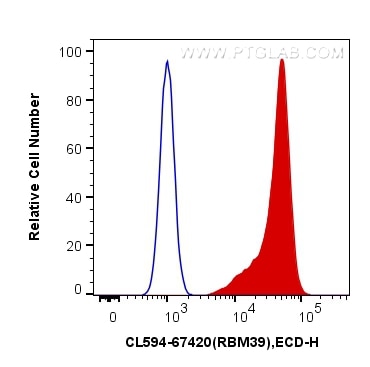 Flow cytometry (FC) experiment of HepG2 cells using CoraLite®594-conjugated RBM39 Monoclonal antibody (CL594-67420)
