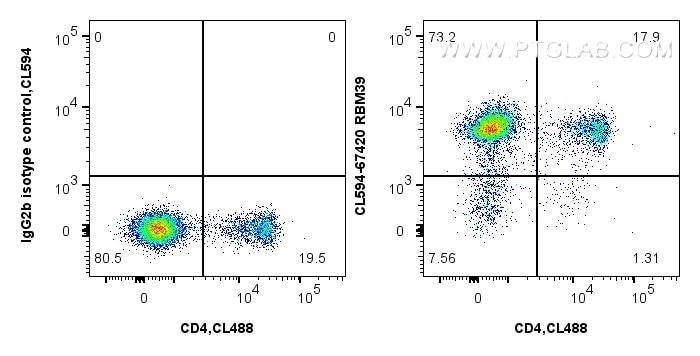 Flow cytometry (FC) experiment of mouse splenocytes using CoraLite®594-conjugated RBM39 Monoclonal antibody (CL594-67420)