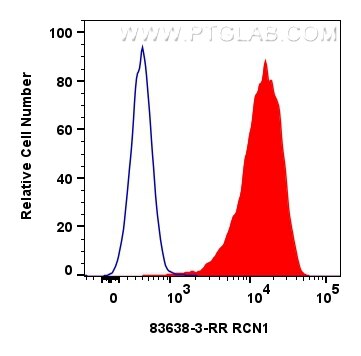 Flow cytometry (FC) experiment of HeLa cells using RCN1 Recombinant antibody (83638-3-RR)