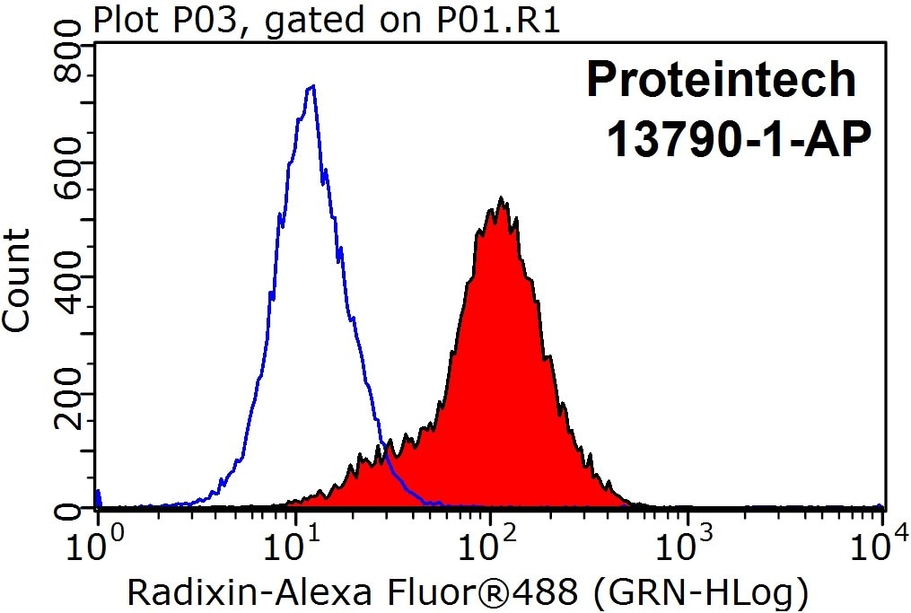 Flow cytometry (FC) experiment of MCF-7 cells using Radixin Polyclonal antibody (13790-1-AP)