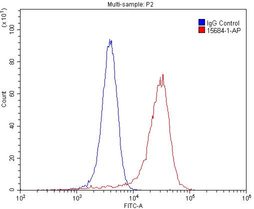 FC experiment of SH-SY5Y using 15684-1-AP