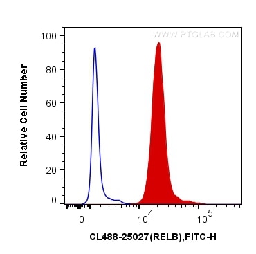 Flow cytometry (FC) experiment of Jurkat cells using CoraLite® Plus 488-conjugated RELB Polyclonal anti (CL488-25027)