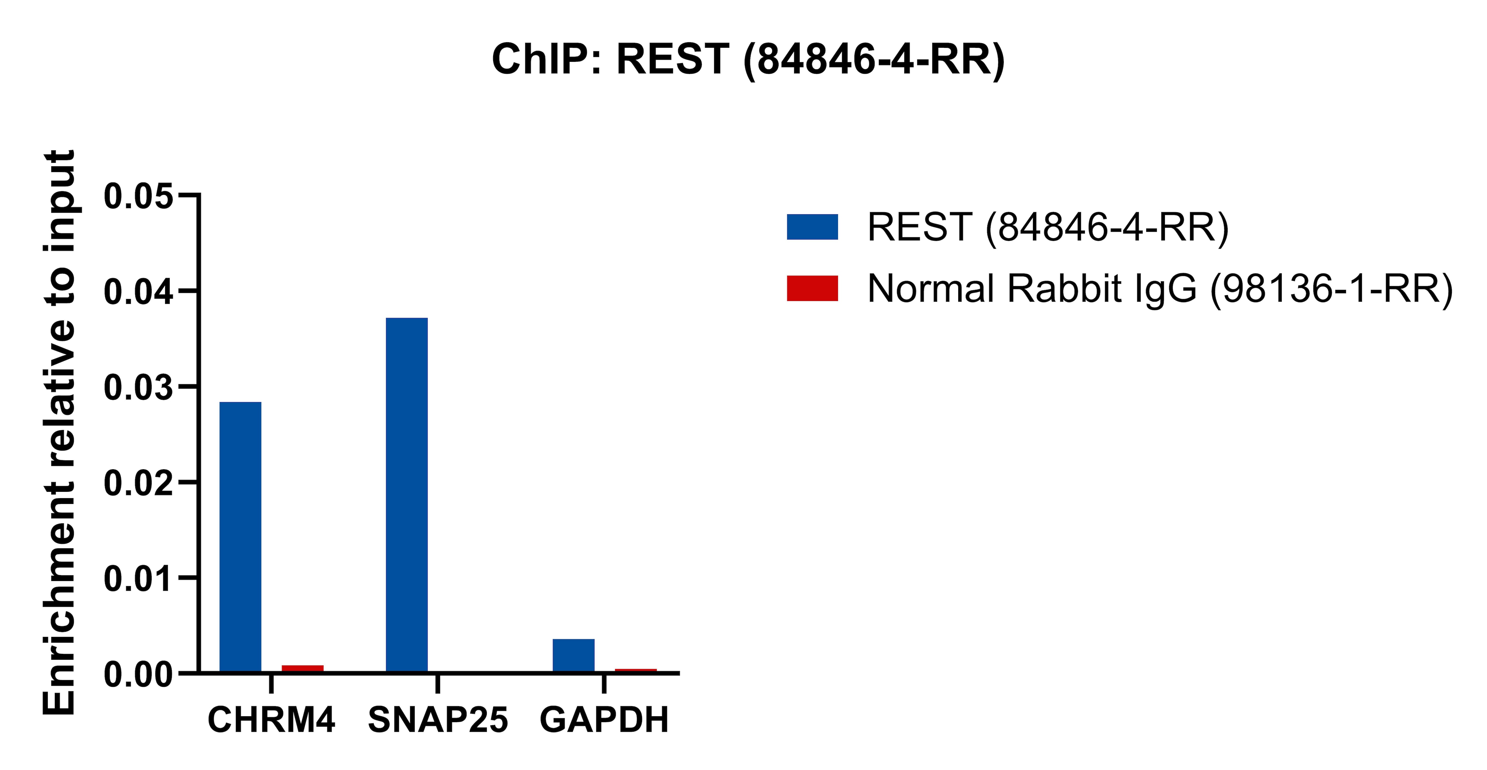 ChIP experiment of HeLa cells using REST Recombinant antibody (84846-4-RR)