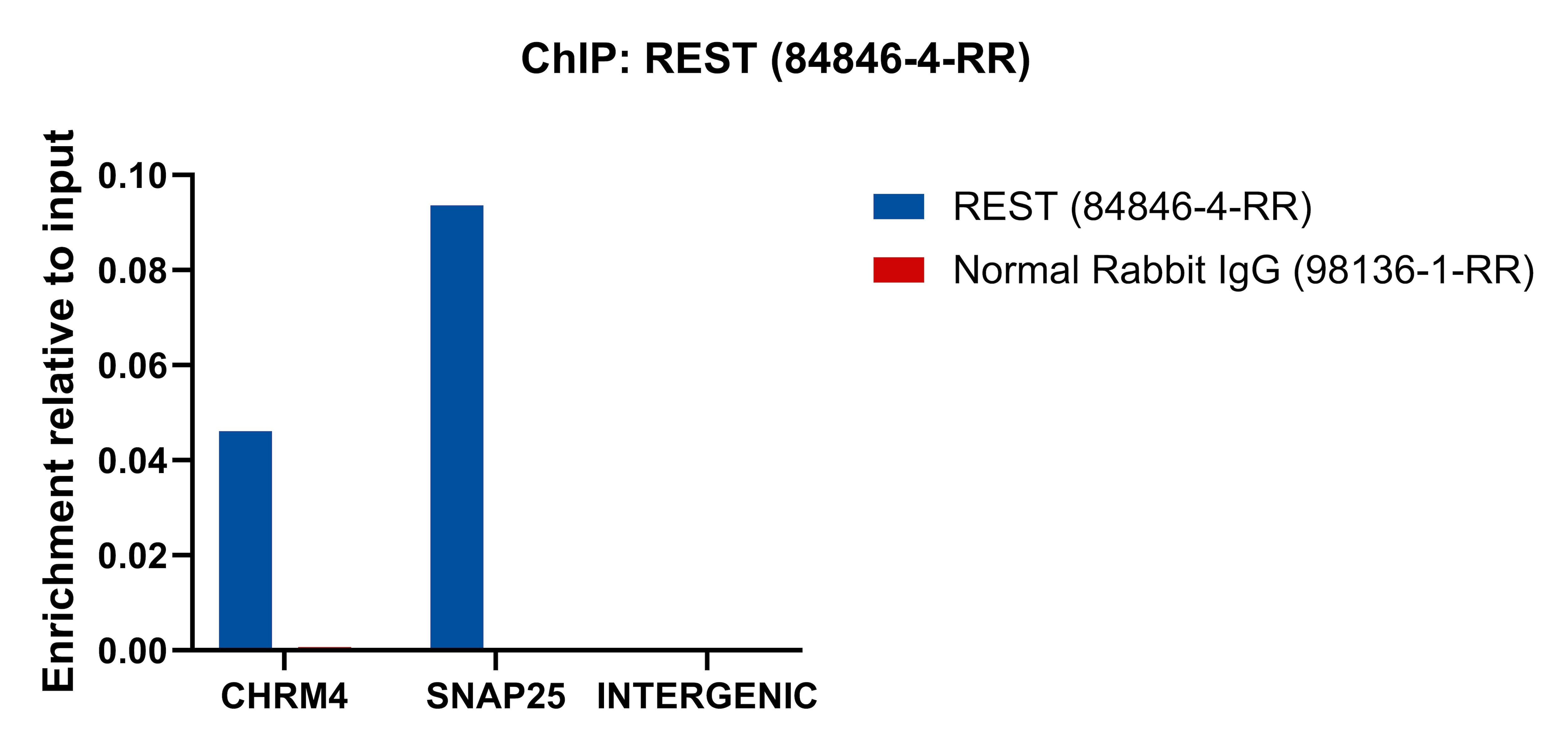 ChIP experiment of HeLa cells using REST Recombinant antibody (84846-4-RR)