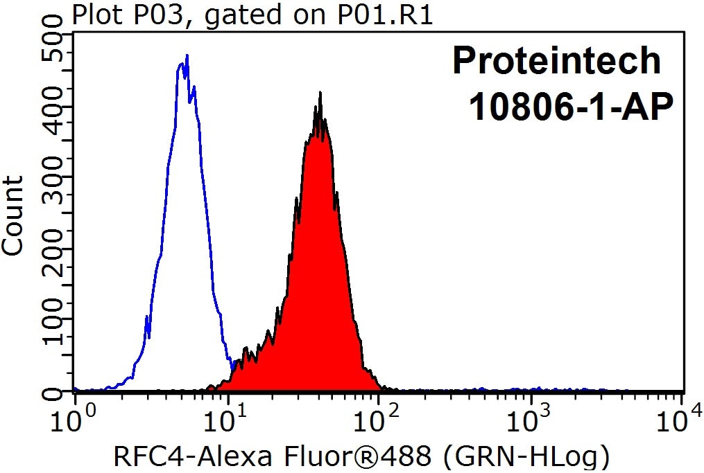 Flow cytometry (FC) experiment of HepG2 cells using RFC4 Polyclonal antibody (10806-1-AP)