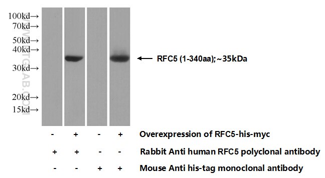 RFC5