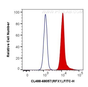 Flow cytometry (FC) experiment of Jurkat cells using CoraLite® Plus 488-conjugated RFX1 Monoclonal anti (CL488-68057)