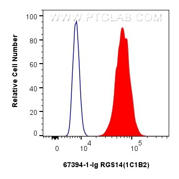Flow cytometry (FC) experiment of HeLa cells using RGS14 Monoclonal antibody (67394-1-Ig)