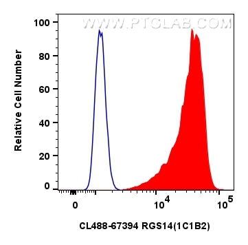 Flow cytometry (FC) experiment of HeLa cells using CoraLite® Plus 488-conjugated RGS14 Monoclonal ant (CL488-67394)
