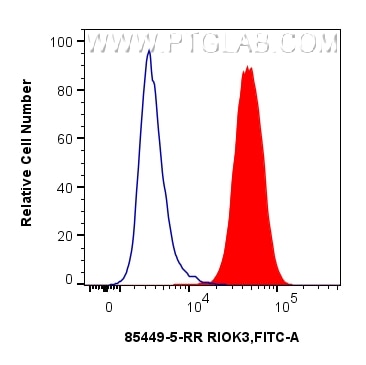 Flow cytometry (FC) experiment of A431 cells using RIOK3 Recombinant monoclonal antibody (85449-5-RR)