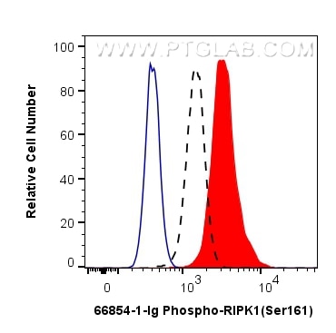 Flow cytometry (FC) experiment of HEK-293T cells using Phospho-RIPK1 (Ser161)  Monoclonal antibody (66854-1-Ig)