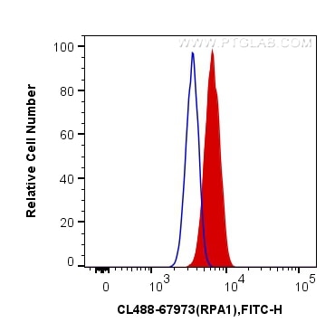 Flow cytometry (FC) experiment of HeLa cells using CoraLite® Plus 488-conjugated RPA1 Monoclonal anti (CL488-67973)