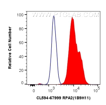 Flow cytometry (FC) experiment of A431 cells using CoraLite®594-conjugated RPA2 Monoclonal antibody (CL594-67999)