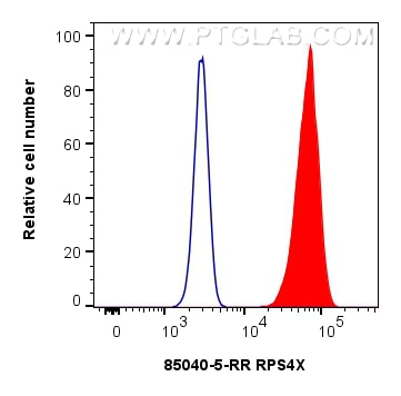 Flow cytometry (FC) experiment of HeLa cells using RPS4X Recombinant antibody (85040-5-RR)