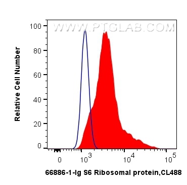 Flow cytometry (FC) experiment of HepG2 cells using S6 Ribosomal protein Monoclonal antibody (66886-1-Ig)