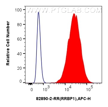 Flow cytometry (FC) experiment of A549 cells using human RRBP1 Recombinant antibody (82890-2-RR)