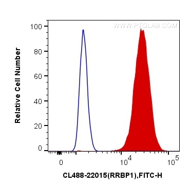 Flow cytometry (FC) experiment of HeLa cells using CoraLite® Plus 488-conjugated RRBP1 Polyclonal ant (CL488-22015)