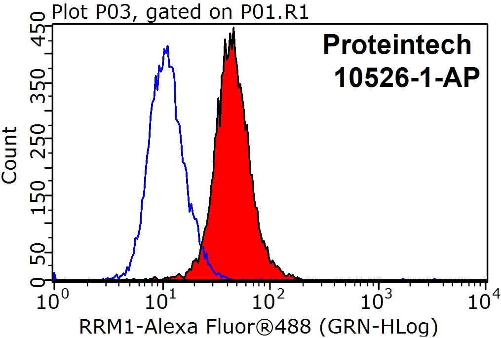 Flow cytometry (FC) experiment of HeLa cells using RRM1 Polyclonal antibody (10526-1-AP)