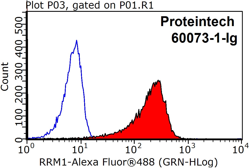 Flow cytometry (FC) experiment of HepG2 cells using RRM1 Monoclonal antibody (60073-1-Ig)