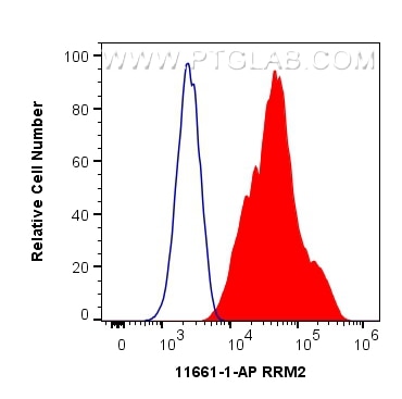 Flow cytometry (FC) experiment of HepG2 cells using RRM2 Polyclonal antibody (11661-1-AP)