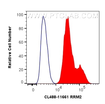 Flow cytometry (FC) experiment of HepG2 cells using CoraLite® Plus 488-conjugated RRM2 Polyclonal anti (CL488-11661)