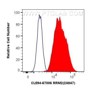 Flow cytometry (FC) experiment of HepG2 cells using CoraLite® Plus 594-conjugated RRM2 Monoclonal anti (CL594-67006)