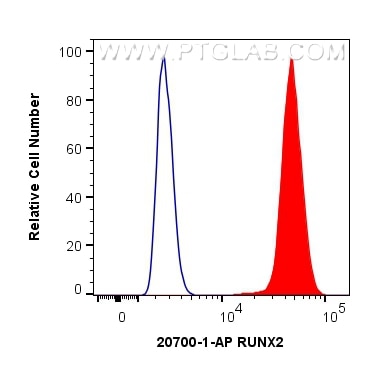 Flow cytometry (FC) experiment of HepG2 cells using RUNX2 Polyclonal antibody (20700-1-AP)