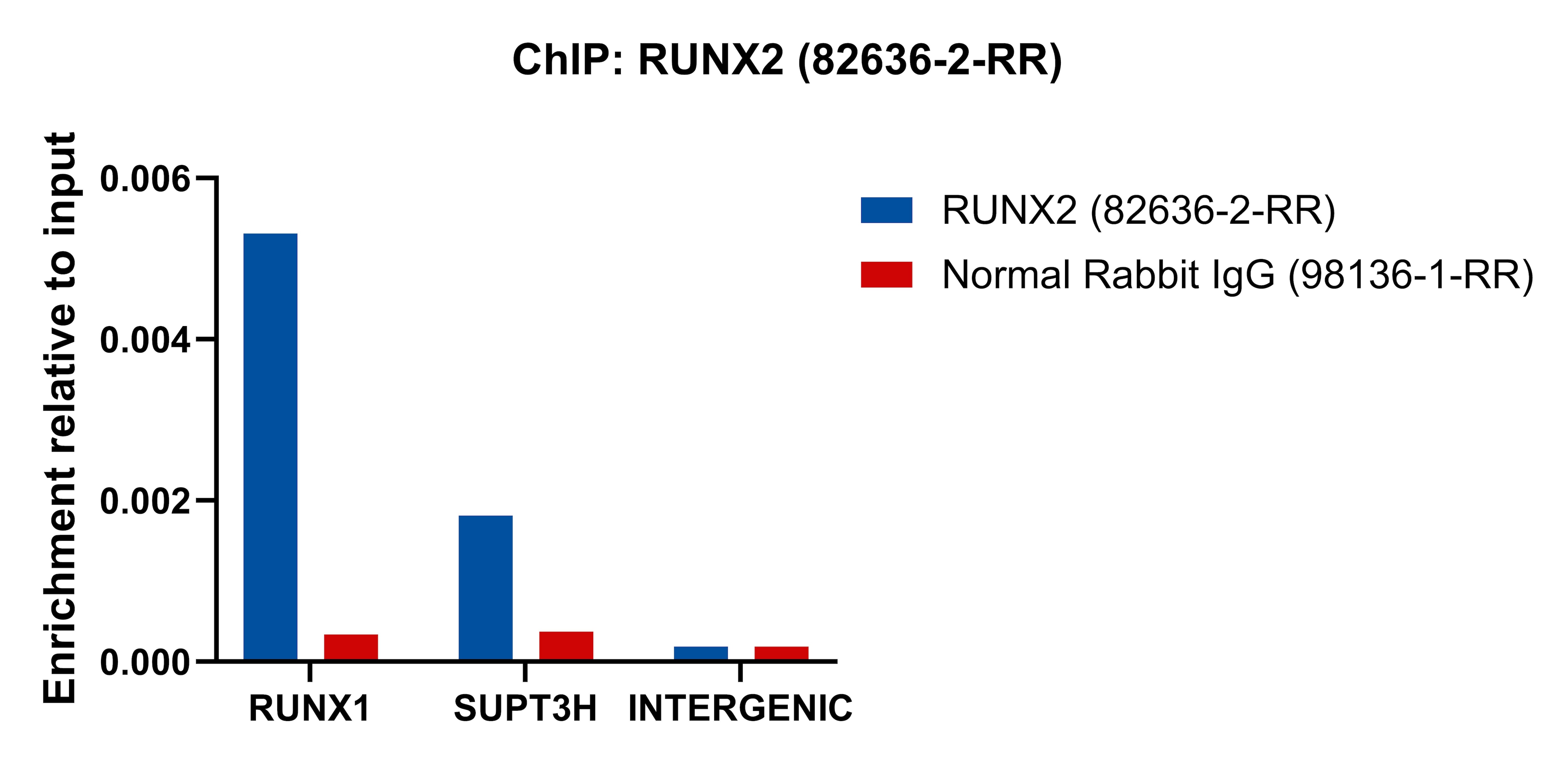 Chromatin was prepared from Saos-2 cells. Cells were fixed with formaldehyde for 10 minutes. The ChIP was performed with 15 µg of cross-linked chromatin, 5 µg of RUNX2 (82636-2-RR) or 5 ug of Normal Rabbit IgG (98136-1-RR), and 20 µl of Protein A Magarose Beads. The immunoprecipitated DNA was quantified by real-time PCR. ChIP experiment of Saos-2 cells using RUNX2 Recombinant monoclonal antibody (82636-2-RR)