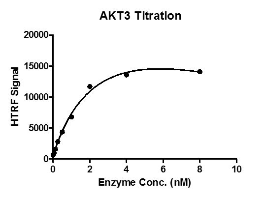 HTRF assay for recombinant AKT3 protein activity 1 uM STK S3 substrate was incubated with different concentrations AKT3 protein in a 10 ul reaction system for 1 hour. The 10 ul detection reagents were added and incubated with the reactions for 30 min. All the operations and reactions were performed at room temperature, and HTRF KinEASE STK assay was used to detect the enzymatic activity.