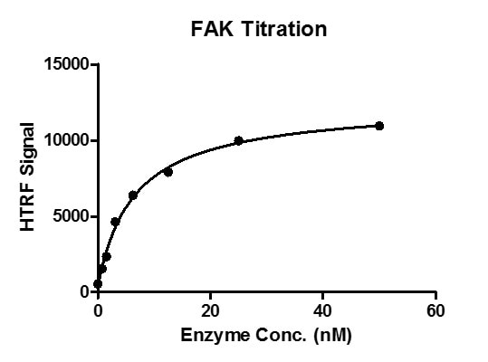 HTRF assay for FAK protein activity 1 uM TK substrate was incubated with increasing concentrations of FAK protein and 100 uM ATP in reaction buffer for 1 hour. The detection reagents were added and incubated with the reactions for 1 hr. TK antibody was used to detect the products. All operations and reactions were performed at room temperature, and HTRF KinEASE TK assay was used to detect the enzymatic activity.	