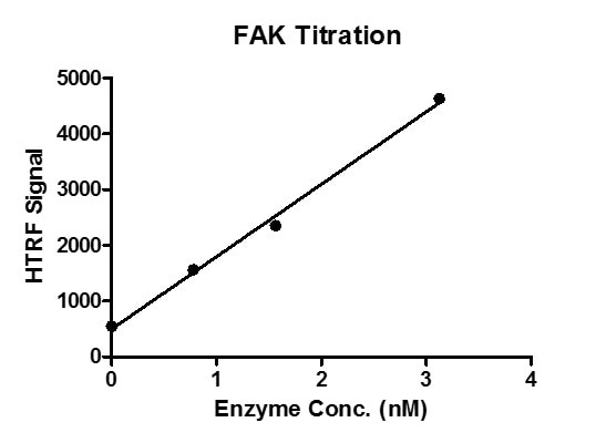 HTRF assay for FAK protein activity 1 uM TK substrate was incubated with increasing concentrations of FAK protein and 100 uM ATP in reaction buffer for 1 hour. The detection reagents were added and incubated with the reactions for 1 hr. TK antibody was used to detect the products. All operations and reactions were performed at room temperature, and HTRF KinEASE TK assay was used to detect the enzymatic activity.