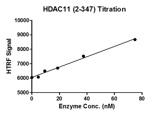 HTRF assay for HDAC11 (2-347) protein activity 1 uM histone peptide H3K9ac (1-21) was incubated with HDAC11 (2-347) in reaction buffer for 30 minutes at 37°C. H3K9me0 antibody was used to detect reaction products.