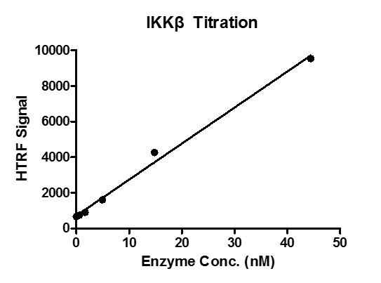 HTRF assay for IKKb activity 1 uM STK S3 substrate was incubated with different concentrations of IKKb protein in 10 ul reaction system containing 1×Enzymatic Buffer, 2 mM MgCl2, 1 mM DTT and 100 uM ATP for 1 hour. The detection reagents were added and incubated with the reactions for 1 hr. All the operations and reactions were performed at room temperature, and HTRF KinASE STK assay was used to detect the enzymatic activity.