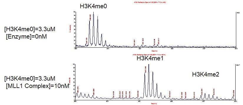 Recombinant KMT2A (MLL1) complex activity assay. 3.3 uM H3K4me0 peptide was incubated with 10 nM MLL1 complex in reaction buffer for 3 hours at room temperature. The reaction product was detected by MALDI-TOF. Single 3.3 uM H3K4me0 peptide was used as negative control.