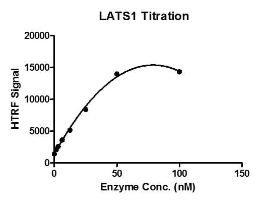 HTRF assay for LATS1 protein activity 1 uM STK S1 substrate was incubated with different concentrations of LATS1 protein in a 10 ul reaction system containing 1×Enzymatic Buffer, 5 mM MgCl2, 1 mM DTT and 100 uM ATP for 1 hr. Then 10 ul detection reagents containing TK antibody and SA-XL665 (each of which was 1:100 diluted with 1× Detection Buffer) were added and incubated with the reactions for 30 min. All the operations and reactions were performed at room temperature.HTRF KinEASE STK assay was used to detect the enzymatic activity.