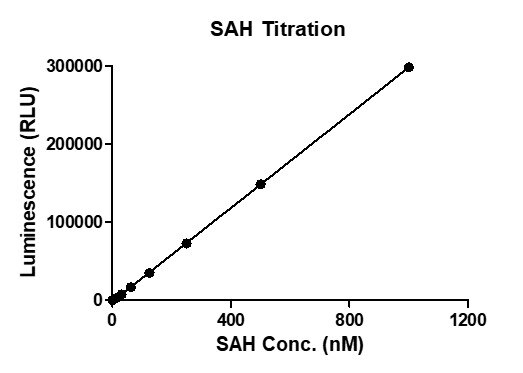 MTase-Glo assay for METTL3 / METTL14 Complex m6A methyltransferase activity 1 μM Substrate RNA (UAGAGGACCAGUCGGACCAGUCGGACCGAU) and 1 μM SAM was incubated with different concentrations of METTL3 / METTL14 Complex in an 8 ul reaction system containing 50 mM Tris-HCl pH 8.6, 0.02% Triton X-100, 2 mM MgCl2, and 1 mM TCEP at room temperature for 1 hour. 5xMTase-Glo Reagent was added to the products and incubated for 30 min, then MTase-Glo Detection was added and luminescence were read after another 30 min incubation. SAH standard curve (0-1 uM) was performed following the same protocol.