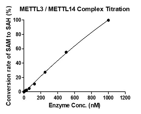 MTase-Glo assay for METTL3 / METTL14 Complex m6A methyltransferase activity 1 μM Substrate RNA (UAGAGGACCAGUCGGACCAGUCGGACCGAU) and 1 μM SAM was incubated with different concentrations of METTL3 / METTL14 Complex in an 8 ul reaction system containing 50 mM Tris-HCl pH 8.6, 0.02% Triton X-100, 2 mM MgCl2, and 1 mM TCEP at room temperature for 1 hour. 5xMTase-Glo Reagent was added to the products and incubated for 30 min, then MTase-Glo Detection was added and luminescence were read after another 30 min incubation. SAH standard curve (0-1 uM) was performed following the same protocol.